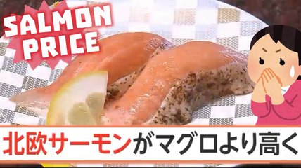 北欧サーモンがマグロより高く Il salmone è più costoso del tonno Salmon is more expensive than tuna