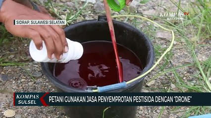 Petani Gunakan Jasa Penyemprotan Pestisida Dengan Drone
