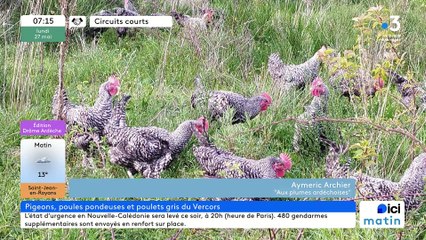 À Villevocance et Roiffieux, "Aux plumes ardéchoises", poulets en Gris du Vercors, pigeonneaux, œufs plein air