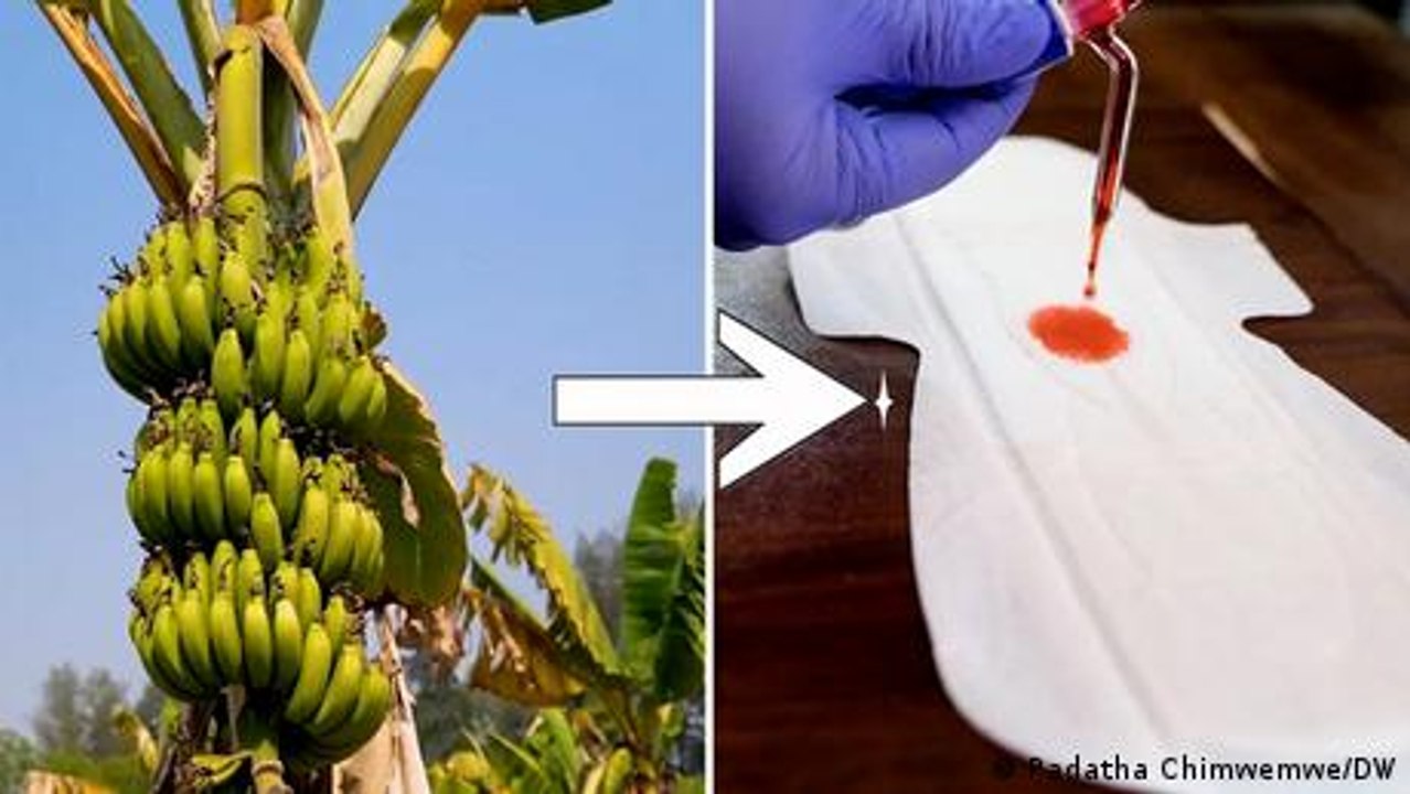 Malawi: Ending period poverty by using banana f...