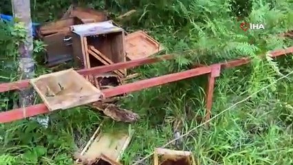 Elektirkli çiti aştı! Bal kovanlarını parçaladı
