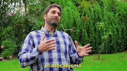 Descubren el UNICO alimento que Reduce la Próstata Agrandada