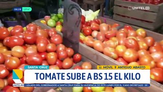 El kilo de tomate se dispara en mercados: el kilo está a Bs 15