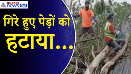 Cyclone Remal Update: NDRF की टीम गिरे हुए पेड़ों को हटाने में जुटी, बशीरहाट की तस्वीरें