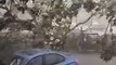 Tree falls during heavy storm at AmBank in Taman Kinrara, Puchong