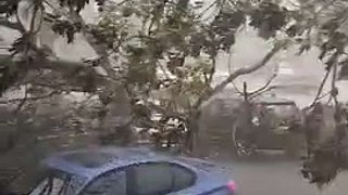 Tree falls during heavy storm at AmBank in Taman Kinrara, Puchong