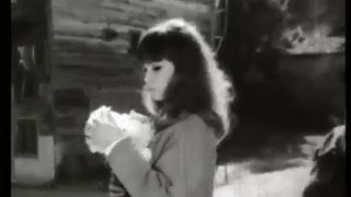 Zımba Gibi Delikanlı Filmi (1964)