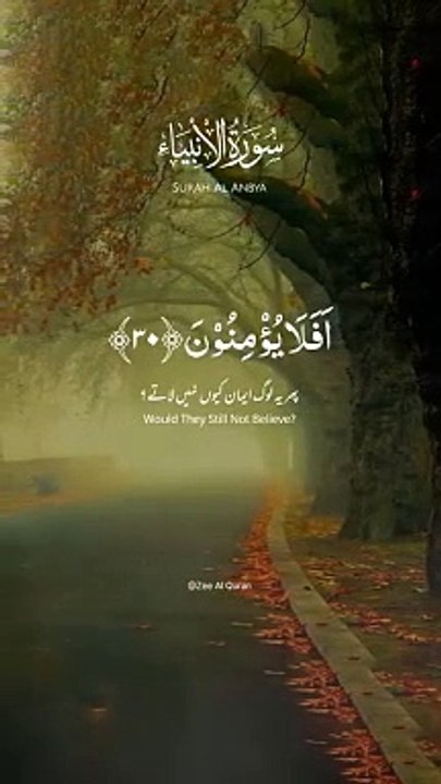 Arqam Manje