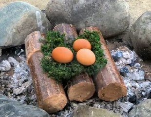 Awesome outdoor cooking ideas & hacks!