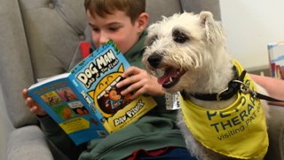Dog enjoys a tale at Standish Library