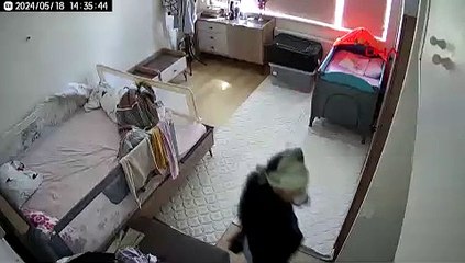 4 kadından oluşan hırsız çetesi bebek kamerasında