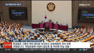 내일 마지막 본회의서 특검법 재표결…여야 막판까지 대치