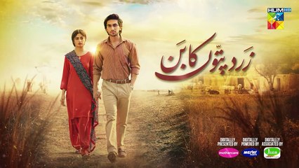 Zard Patton Ka Bunn - Episode 3 Teaser -