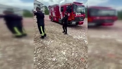 İki ilçede ortaya çıkan yılanlar panik yarattı