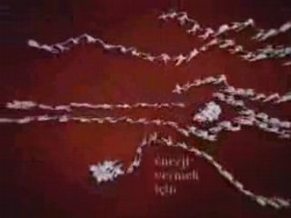 [Amazing choreography]