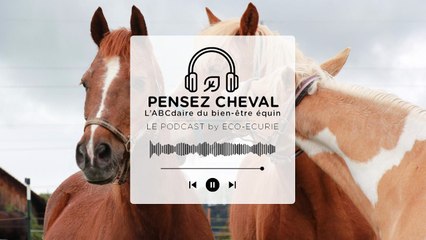 Épisode 28 : Daniela Strube - ÉCURIES DES PLATANES