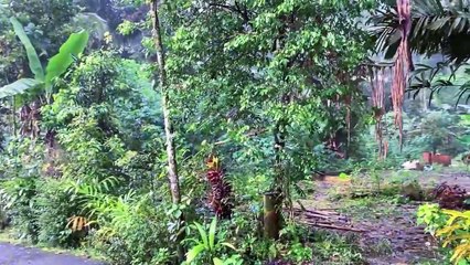 Uncover the Eerie Atmosphere in the Village 👻