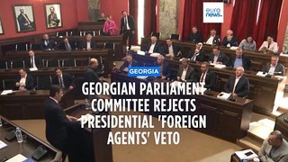 Georgian parliament committee rejects presidential veto of divisive 'Russian law'