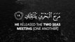 Surah Rehman Best Tilawat e Quran Beautiful heart touching voice|| New viral Tilawat e Quran|| Islamic Short Video|| Islamic Info 47 ✓