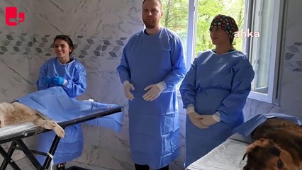 Hopa Belediye Başkanı Utku Cihan "Sokak hayvanlarını kısırlaştırmaya başladık. Öldürmenin değil yaşatmanın örneğini gösteriyoruz"