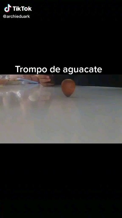 lechuza vuelo nocturno