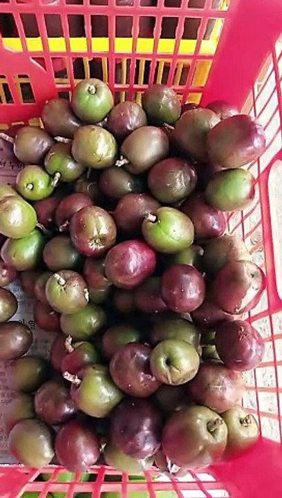 Seneguelas ! 