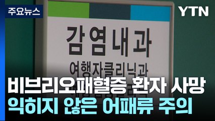비브리오패혈증, 급사 위험까지..."어패류 익혀 드세요" / YTN