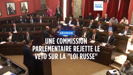 Géorgie : une commission parlementaire a rejeté le veto présidentiel bloquant la "loi russe"
