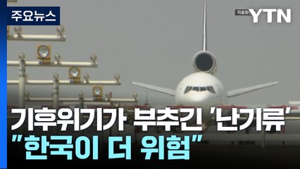 기후위기가 부추긴 '난기류'..."한국이 더 위험" / YTN