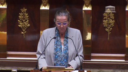 Projet de loi sur la fin de vie: "Cette loi est nécessaire" estime Caroline Fiat (LFI)