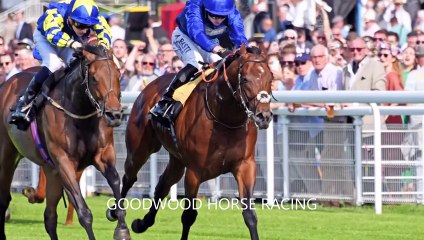 Saturday's racing at Goodwood in pictures by Malcolm Wells