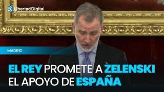 Felipe VI promete a Zelenski el apoyo continuado de España a su legítima defensa