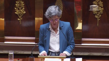 Projet de loi sur la fin de vie: "Le groupe Écologiste donnera une entière liberté de vote à ses membres" affirme Sandrine Rousseau