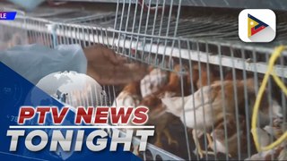 U.S., Europe eye vaccinating workers exposed to bird flu