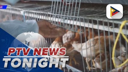 U.S., Europe eye vaccinating workers exposed to bird flu