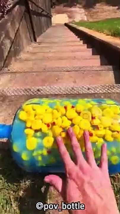 Presentation matters... #factshorts #randomfacts #viralshorts