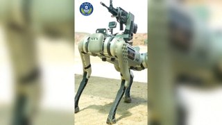 China presenta sus perros robots con ametralladoras