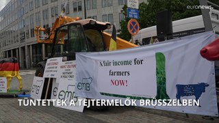 Tüntettek a tejtermelők Brüsszelben