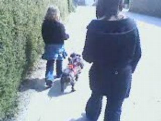 Petite sortie avec les chiens 2