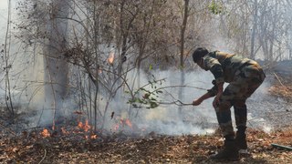 सीसारमा स्थित सीतामाता नर्सरी में लगी आग
