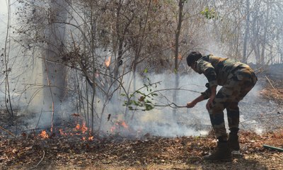 सीसारमा स्थित सीतामाता नर्सरी में लगी आग