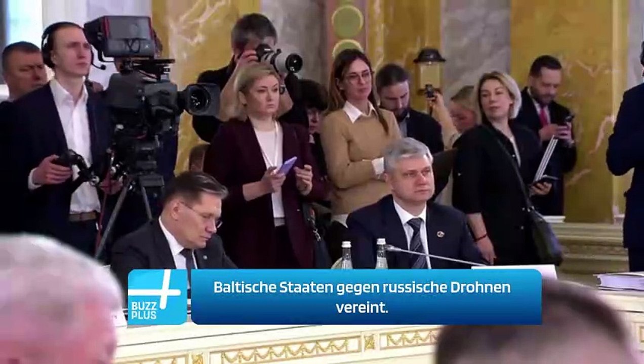 Baltische Staaten gegen russische Drohnen vereint.