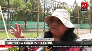 Zoológico Parque del Pueblo, en Nezahualcóyotl, protege a los animales del calor