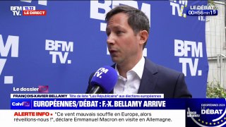 François-Xavier Bellamy (tête de liste LR aux élections européennes): 