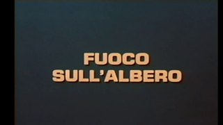 Falchi Spaziali (Sky Hawks) - Fuoco Sull'Albero [ITA]
