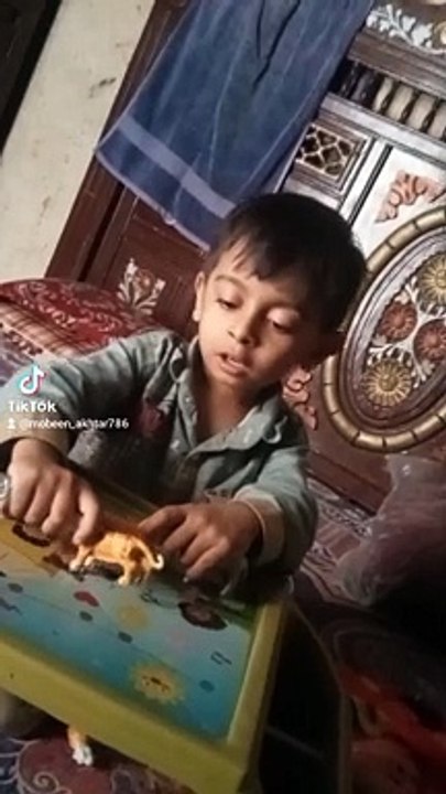 Mohammad Raza