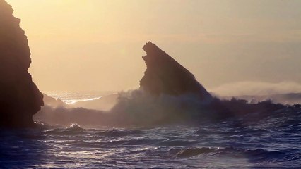 Prueba Vive  Vive USA