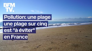 Pollution: une plage sur cinq est à éviter en France, d'après une étude