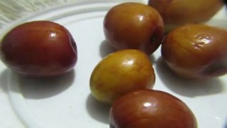 What is Indian Ber Fruit-Taste Test of Indian Jujube or Ber