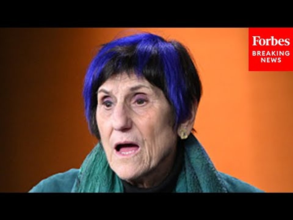 Rosa DeLauro Slams GOP Colleagues For ‘Misguided Allocation’ In ...